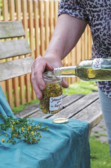 Rapsöl auf Johanniskrautblueten